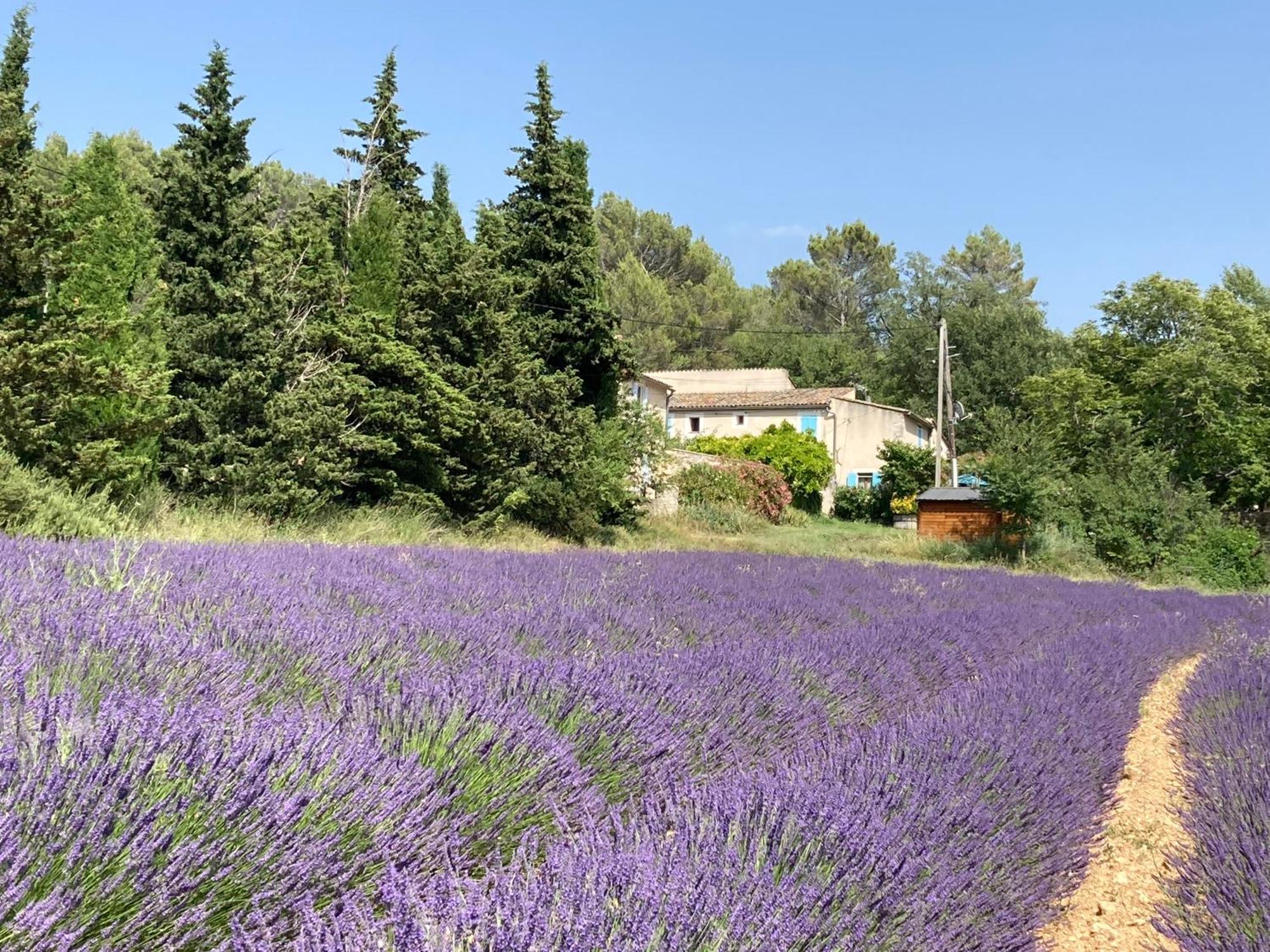 Вилла Maison Au Colorado Provencal Рюстрель Экстерьер фото